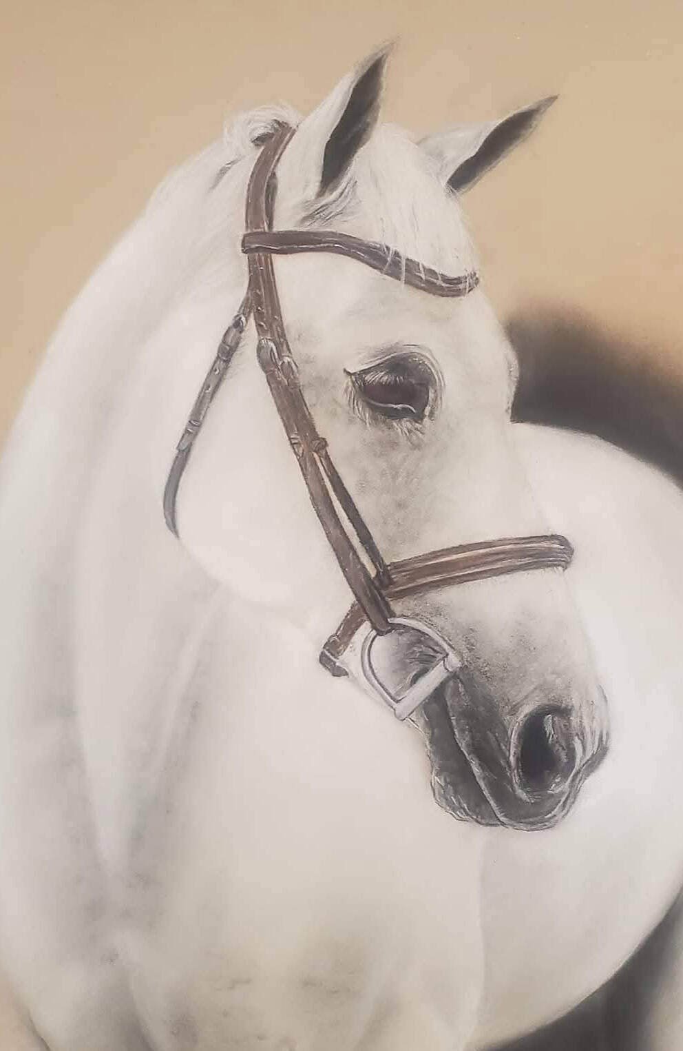 portrait d'un cheval au pastel sec