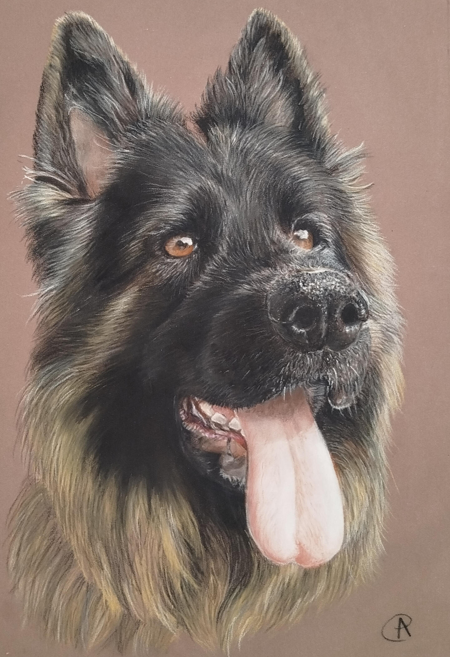 Portrait d'un berger au pastel sec
