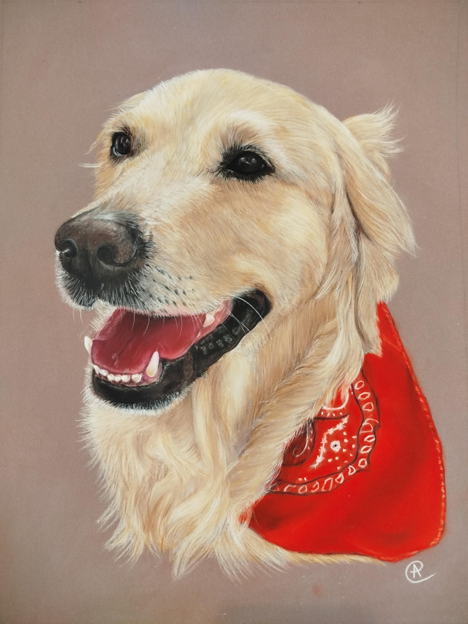 Portrait de Golden Retriever au pastel sec
